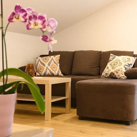 Apartman Amare *